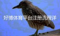 好博体育平台注册流程详解：新手一步步注册、实名认证与常见问题解决