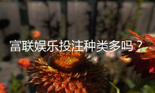 富联娱乐投注种类多吗?一篇文章带你了解所有游戏选项