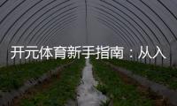 开元体育新手指南：从入门到精通的实战技巧