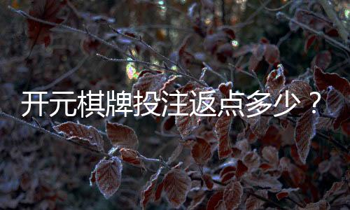 开元棋牌投注返点多少?揭秘高返水优惠与实战技巧