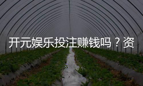 开元娱乐投注赚钱吗?资深玩家揭秘真实盈利技巧与风险