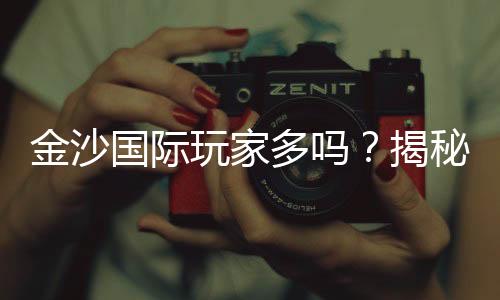 金沙国际玩家多吗?揭秘平台人气与真实体验