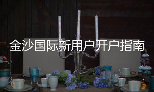 金沙国际新用户开户指南:轻松注册畅享豪华游戏体验