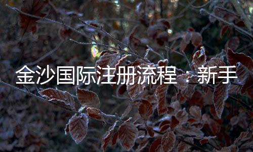 金沙国际注册流程:新手必看5步轻松开户指南