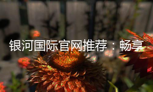 银河国际官网推荐:畅享顶级棋牌娱乐与电子游艺盛宴