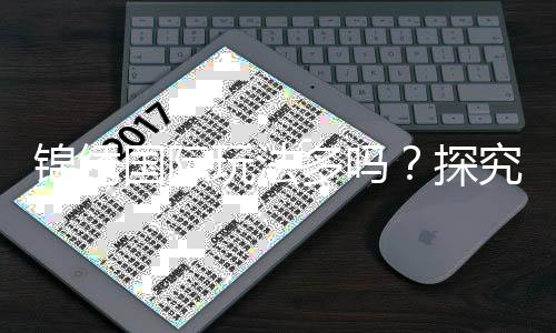 锦绣国际玩法多吗?探究多元化游戏体验