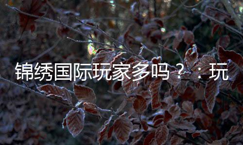 锦绣国际玩家多吗?:玩家规模揭秘
