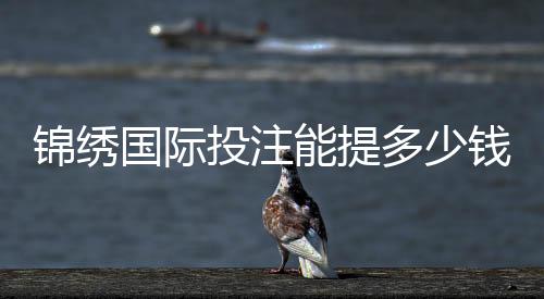 锦绣国际投注能提多少钱?赌场盈利秘籍