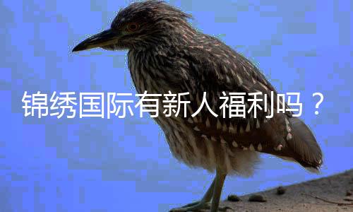 锦绣国际有新人福利吗?惊喜等着你