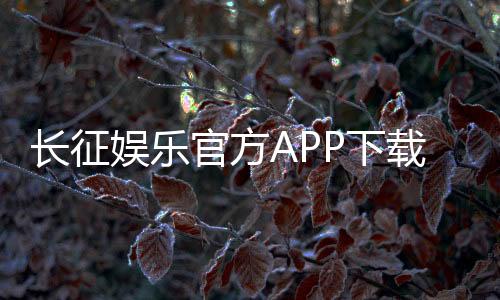 长征娱乐官方APP下载:畅享棋牌电游安全下载一键体验