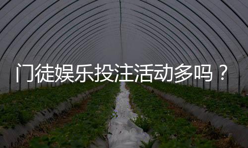 门徒娱乐投注活动多吗?最新优惠与特色玩法全解析