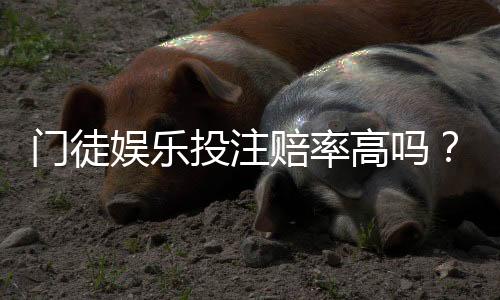 门徒娱乐投注赔率高吗？深度解析其赔率优势与实战策略