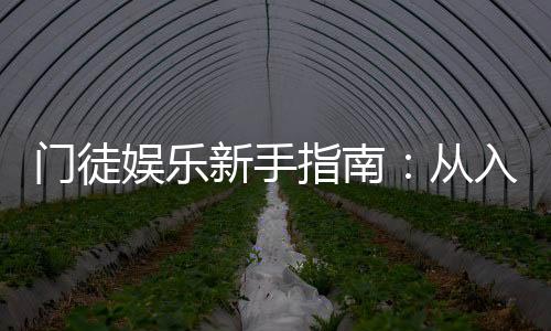 门徒娱乐新手指南:从入门到精通的实战技巧