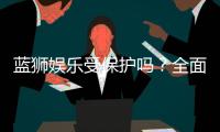 蓝狮娱乐受保护吗？全面解析其安全性与玩家保障措施