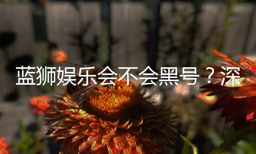 蓝狮娱乐会不会黑号?深度解析平台安全性与防黑技巧