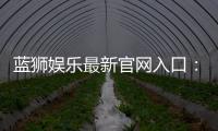 蓝狮娱乐最新官网入口：揭秘平台特色与安全登录指南