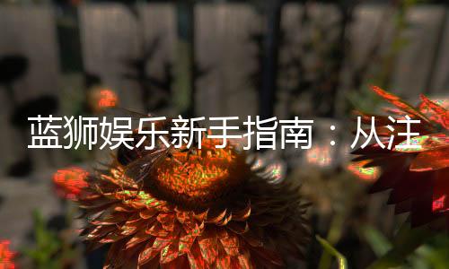 蓝狮娱乐新手指南:从注册到畅玩的完整攻略