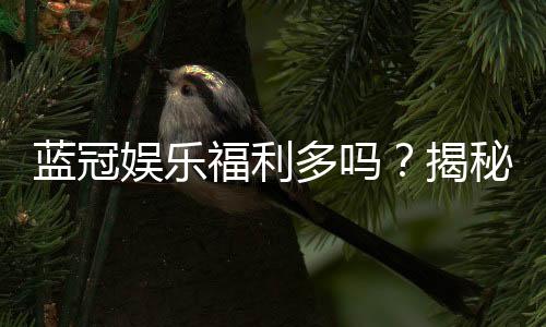 蓝冠娱乐福利多吗？揭秘其独家优惠与玩家真实反馈