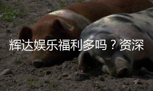 辉达娱乐福利多吗?资深玩家揭秘真实福利体验