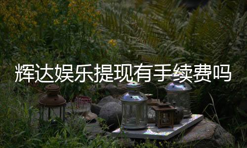 辉达娱乐提现有手续费吗?手续费标准及到账时间详解