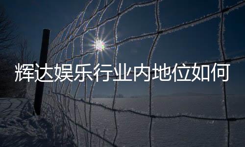辉达娱乐行业内地位如何?深度解析其市场影响力与玩家口碑