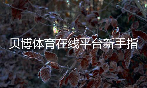 贝博体育在线平台新手指南：注册流程、玩法解析与安全攻略