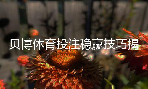 贝博体育投注稳赢技巧揭秘:实战策略、资金管理与风险控制全攻略