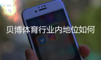 贝博体育行业内地位如何？市场份额、竞争优势与用户口碑全面解析