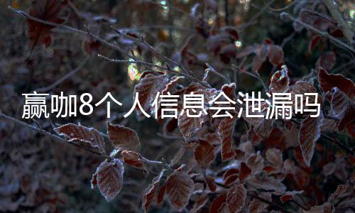 赢咖8个人信息会泄漏吗?深度解析平台安全防护措施