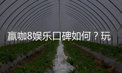 赢咖8娱乐口碑如何?玩家真实评价与体验分享