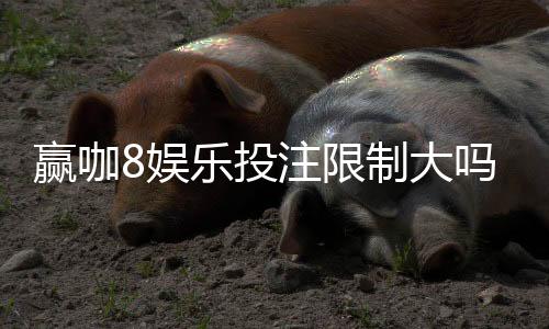 赢咖8娱乐投注限制大吗?深度解析平台规则与投注策略
