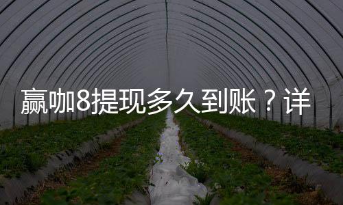 赢咖8提现多久到账?详解到账时间与提现技巧