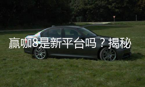 赢咖8是新平台吗？揭秘其背景与玩家真实体验