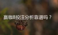 赢咖8投注分析靠谱吗？资深玩家深度解析平台可靠性