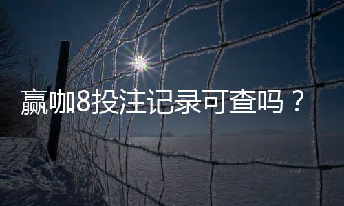 赢咖8投注记录可查吗?一文详解查询方法与注意事项