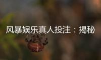 风暴娱乐真人投注：揭秘高胜率玩家的实战技巧与策略