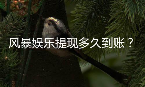 风暴娱乐提现多久到账?快速到账技巧与到账时间解析