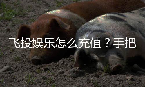 飞投娱乐怎么充值?手把手教你快速到账畅玩攻略