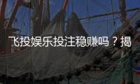飞投娱乐投注稳赚吗？揭秘高胜率技巧与风险规避策略