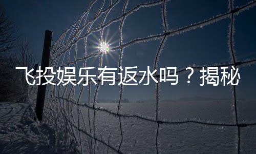 飞投娱乐有返水吗?揭秘返水优惠与玩法攻略