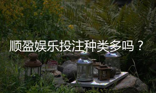 顺盈娱乐投注种类多吗?全面解析平台热门游戏与特色玩法