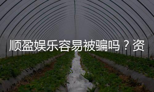 顺盈娱乐容易被骗吗?资深玩家揭秘防骗技巧与平台安全性