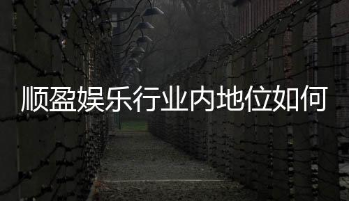 顺盈娱乐行业内地位如何?深度解析其市场影响力与玩家口碑