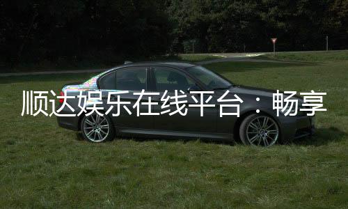 顺达娱乐在线平台:畅享顶级棋牌与电子游艺的乐趣