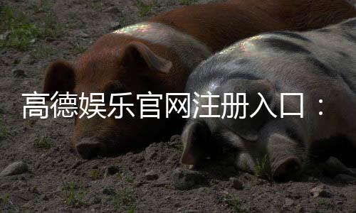 高德娱乐官网注册入口:轻松三步完成账号注册畅享游戏