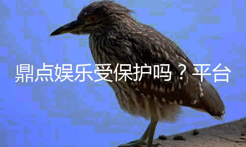鼎点娱乐受保护吗?平台安全性与玩家权益深度解析