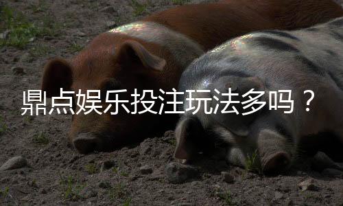 鼎点娱乐投注玩法多吗?深度解析平台多元游戏与特色玩法