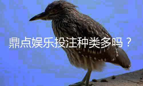 鼎点娱乐投注种类多吗?全面解析平台热门游戏与特色玩法