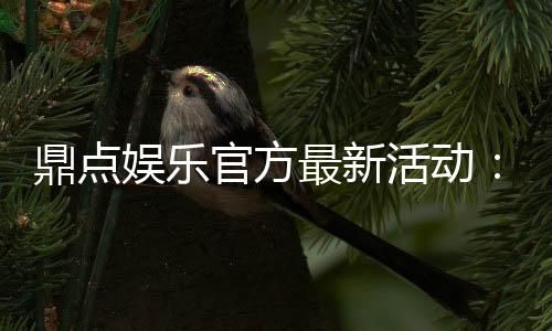 鼎点娱乐官方最新活动:限时豪礼大放送畅享棋牌狂欢盛宴