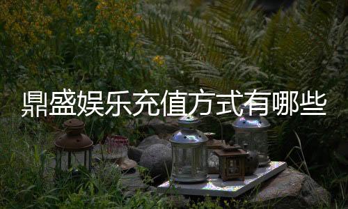 鼎盛娱乐充值方式有哪些:详细解析